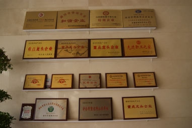 弘揚傳統文化--五棵松一直在路上