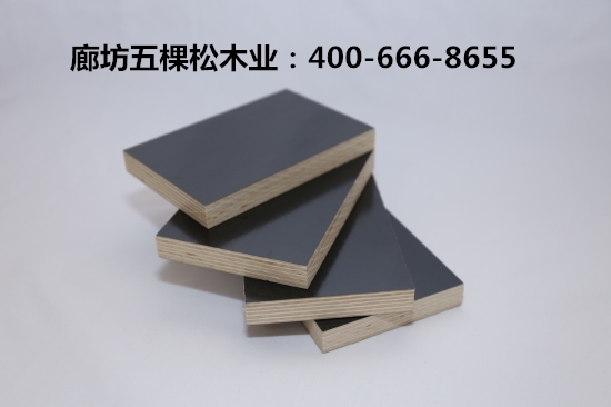 建筑模板施工應(yīng)用應(yīng)注意什么？